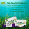 Thực phẩm bảo vệ sức khỏe TH-Blackcurrant with Spirulina Advance hình 03