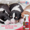 Bộ vi sinh khử mùi thú cưng Pet Kleen (1 chai 500ml + 3 ống 5ml) hình 02