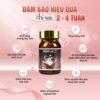 Thực phẩm bảo vệ sức khỏe BIKEN AX 21 Hình 03