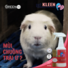 Bộ vi sinh khử mùi thú cưng Pet Kleen (1 chai 500ml + 3 ống 5ml) hình 04