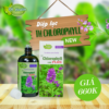 Thực phẩm bảo vệ sức khỏe TH-Chlorophyll UIE PLUS hình 02
