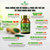 Thực phẩm bảo vệ sức khỏe BIKEN SPIRULINA EX 29 hình 05